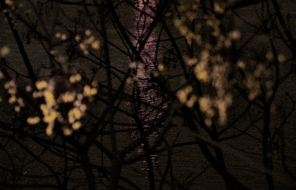 The Distant Place Intoxicated by the Spring Breeze No.13 by Miles Lee